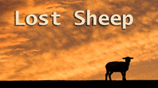 lost sheep